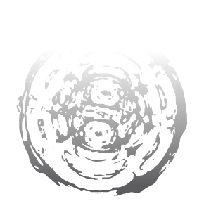 Focus 1