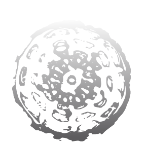 Focus 2